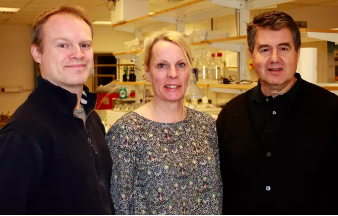 Forskare ska fånga in koldioxid. Luleå tekniska universitets forskare Magnus Sjöblom, Ulrika Rova och Paul Christakopoulos. Foto: Luleå tekniska universitet