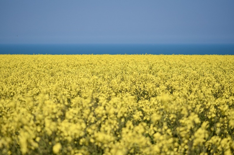 Svebio: Avskaffa skatten på bioolja för mer biokraft i södra Sverige