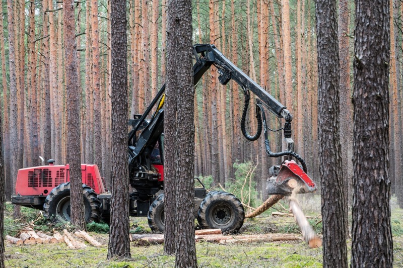 Därför köper USA stora mängder trävaror av Sverige