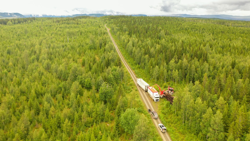 Fina utsikter för bioenergin i Jämtland