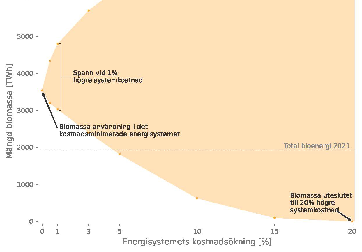 Biomassa-användning inom Europas energisystem
