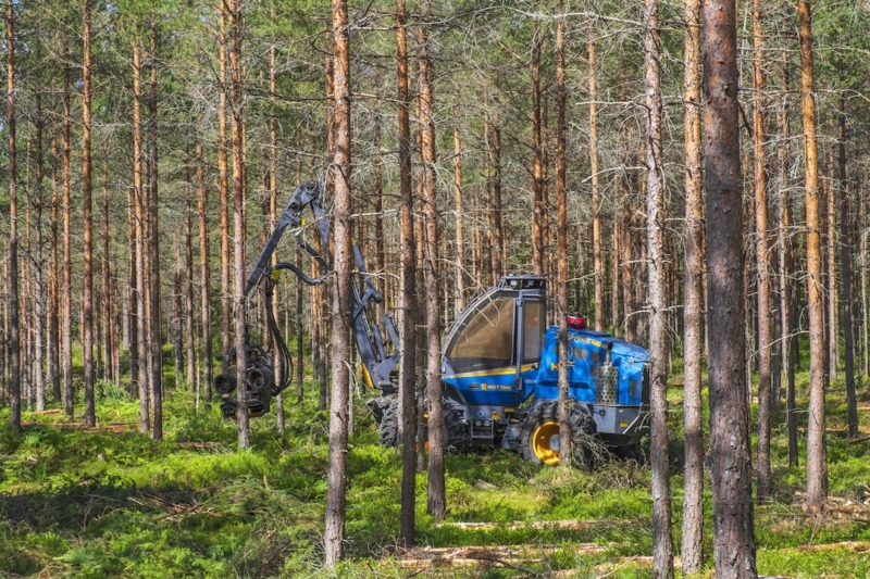Skogsutredningen är klar med förslag om den nationella skogspolitiken