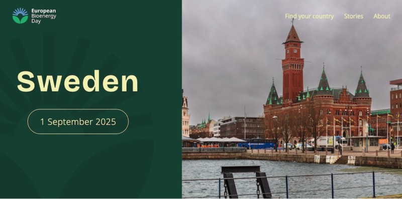 Bioenergi räcker i 122 dagar i Sverige