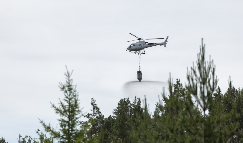 Gödsel gjord på förnybar energi ökar kolinbindningen i skogen