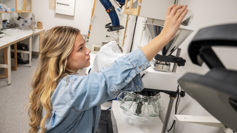 Ny forskning pekar ut potential för svensk koldioxidlagring på land