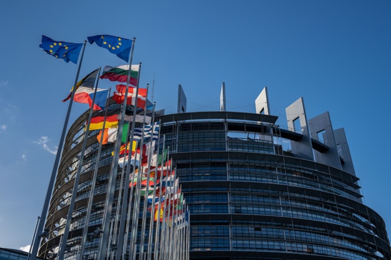 EU-parlamentet stödjer förenklingsåtgärder för EUDR
