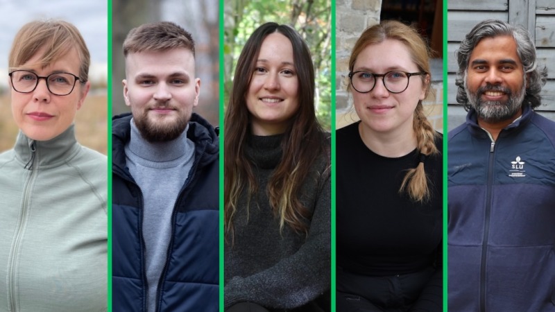 SLU visar hur skog stärker Sveriges beredskap