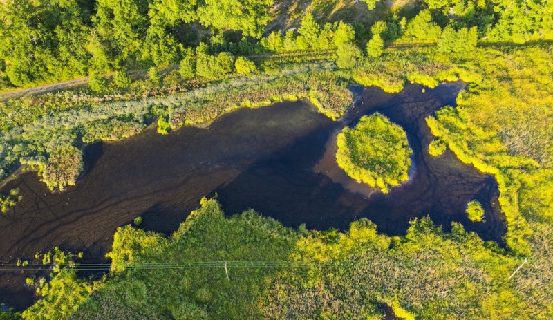 Systematisk uppföljning nödvändig för att se effekter av återvätning av våtmarker