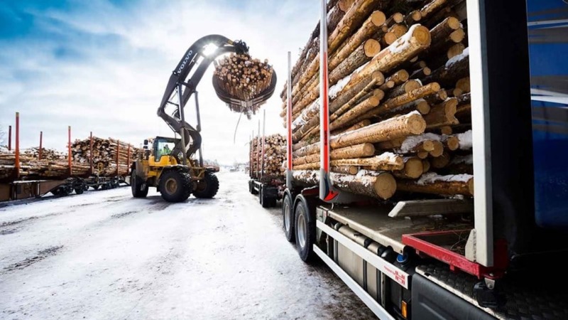 Ny rapport: Politiska beslut kostar skogsindustrin miljarder