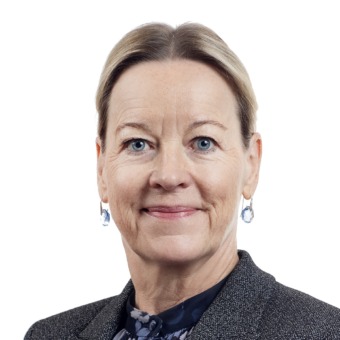 Skogsindustrierna