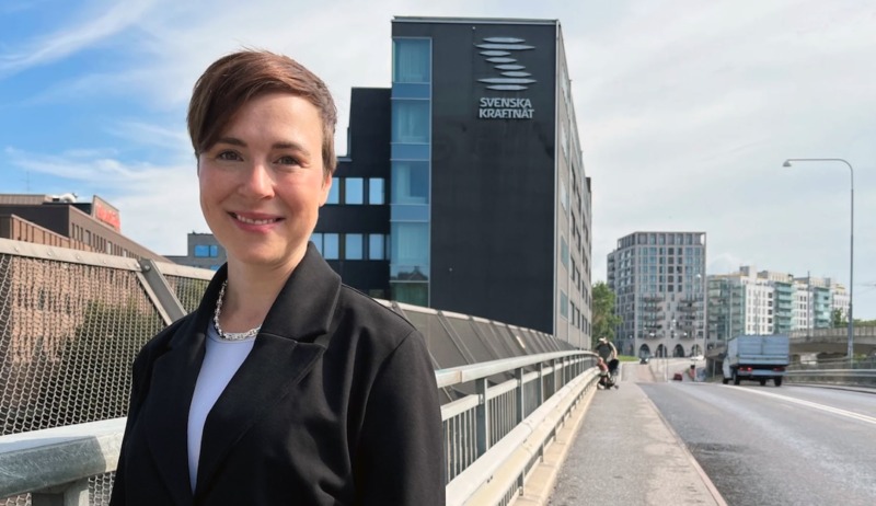 Regeringen utser ny generaldirektör och chef för Affärsverket svenska kraftnät