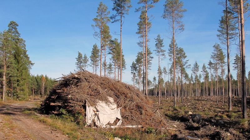 Svebio välkomnar förslag på åtgärder för att stärka kraft- och fjärrvärmen